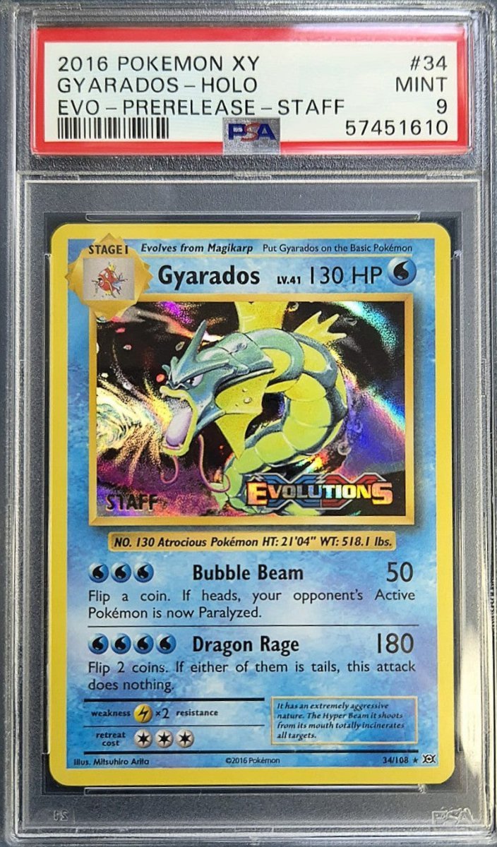 Gyarados XY Promo 34 - Pre - Release Staff Holofoil Pokémon kaart kopen - Elite TCG Shop