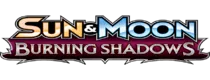Burning Shadows logo